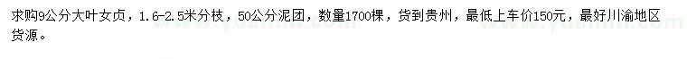 求購9公分大葉女貞