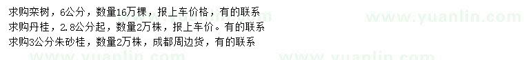 求購(gòu)欒樹(shù)、丹桂、朱砂桂