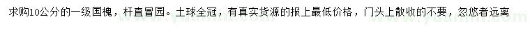 求購10公分國槐