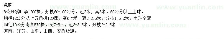 求購紫葉李、五角楓、南欒