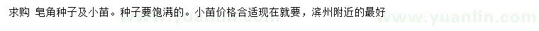 求購皂角種子、小苗
