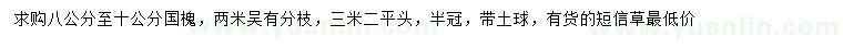 求購8-10公分國槐