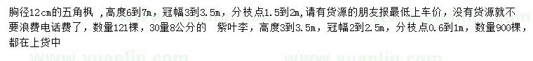 求購胸徑12公分五角楓、30量8公分紫葉李