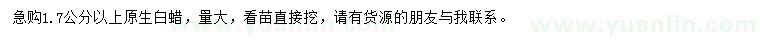 求購1.7公分以上白蠟