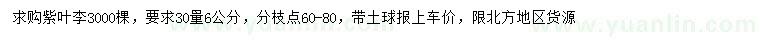 求購30量6公分紫葉李