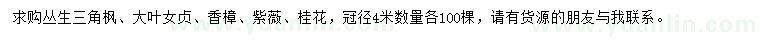 求購(gòu)三角楓、大葉女貞、香樟等