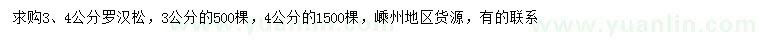 求購(gòu)3、4公分羅漢松
