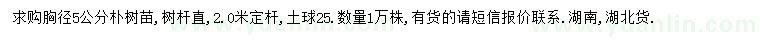 求購(gòu)胸徑5公分樸樹(shù)苗