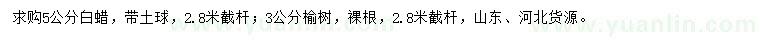 求購5公分白蠟、3公分榆樹