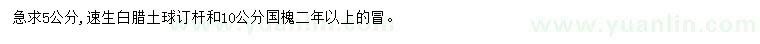 求購5公分速生白臘、10公分國槐