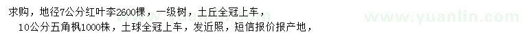 求購(gòu)地徑7公分紅葉李、10公分五角楓