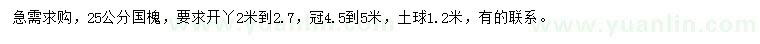 求購(gòu)25公分國(guó)槐