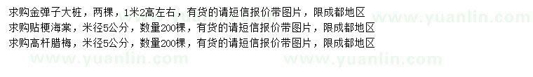 求購金彈子大樁、貼梗海棠、高桿臘梅