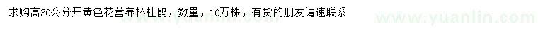 求購高30公分杜鵑