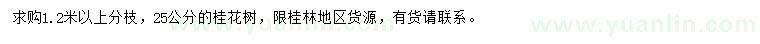 求購25公分桂花樹