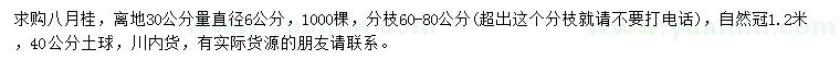 求購30公分量6公分八月桂