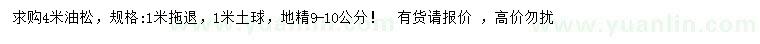 求購4米油松