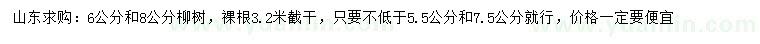 求購6、8公分柳樹
