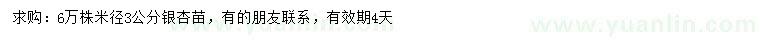 求購米徑3公分銀杏