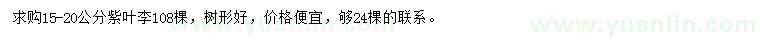 求購(gòu)15-20公分紫葉李