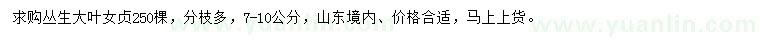 求購7-10公分叢生大葉女貞