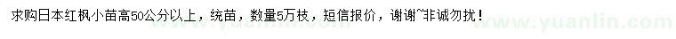求購高50公分以上日本紅楓小苗