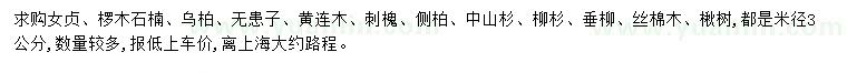 求購(gòu)女貞、欏木石楠、烏柏等