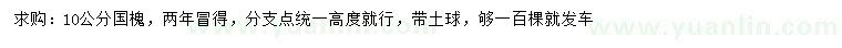 求購10公分國槐