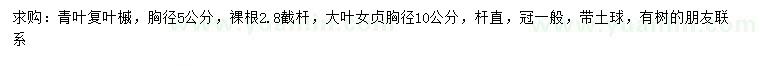 求購胸徑5公分青葉復葉槭、10公分大葉女貞
