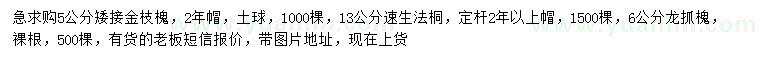 求購金枝槐、速生法桐、龍爪槐