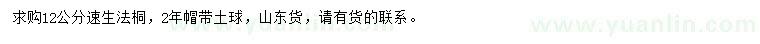 求購12公分速生法桐