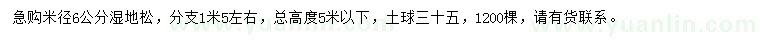 求購米徑6公分濕地松