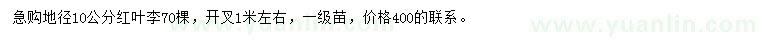 求購地徑10公分紅葉李