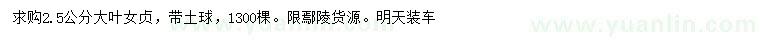 求購(gòu)2.5公分大葉女貞