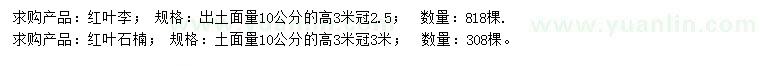 求購10公分紅葉李、紅葉石楠