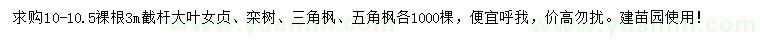 求購大葉女貞、欒樹、三角楓等