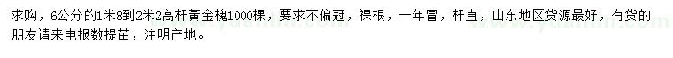 求購(gòu)6公分黃金槐