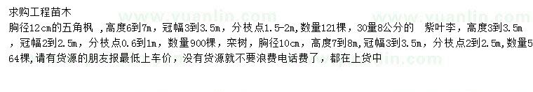 求購五角楓、紫葉李、欒樹