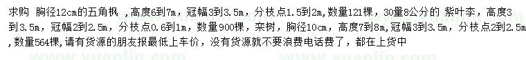 求購五角楓、紫葉李、欒樹等
