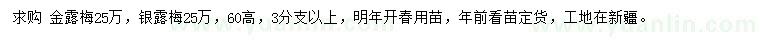 求購高60公分金露梅、銀露梅