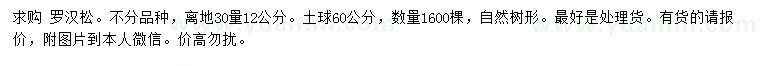 求購30量12公分羅漢松