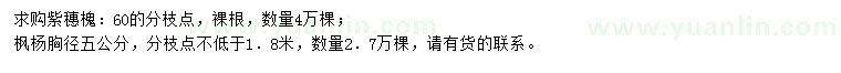 求購60公分分枝紫穗槐、胸徑5公分楓楊