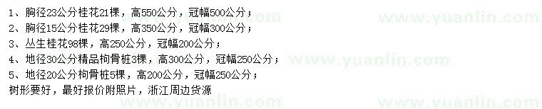 求購桂花、叢生桂花、枸骨樁