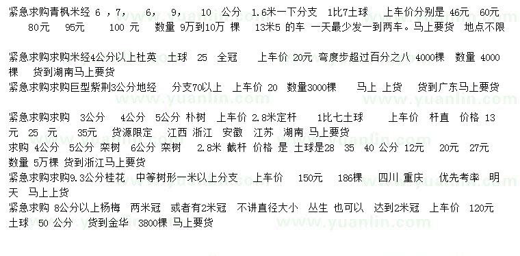 求購青楓、杜英、巨紫荊等