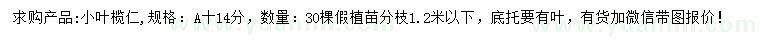 求購(gòu)14公分小葉欖仁
