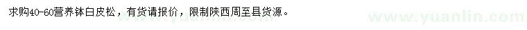 求購40-60公分白皮松