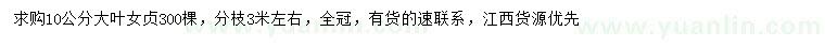 求購10公分大葉女貞