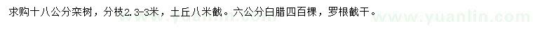 求購18公分欒樹、6公分白臘