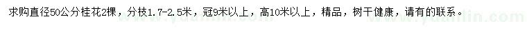 求購(gòu)直徑50公分桂花