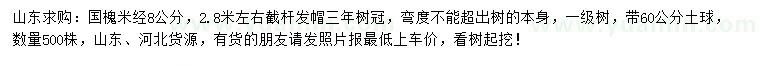 求購米徑8公分國槐
